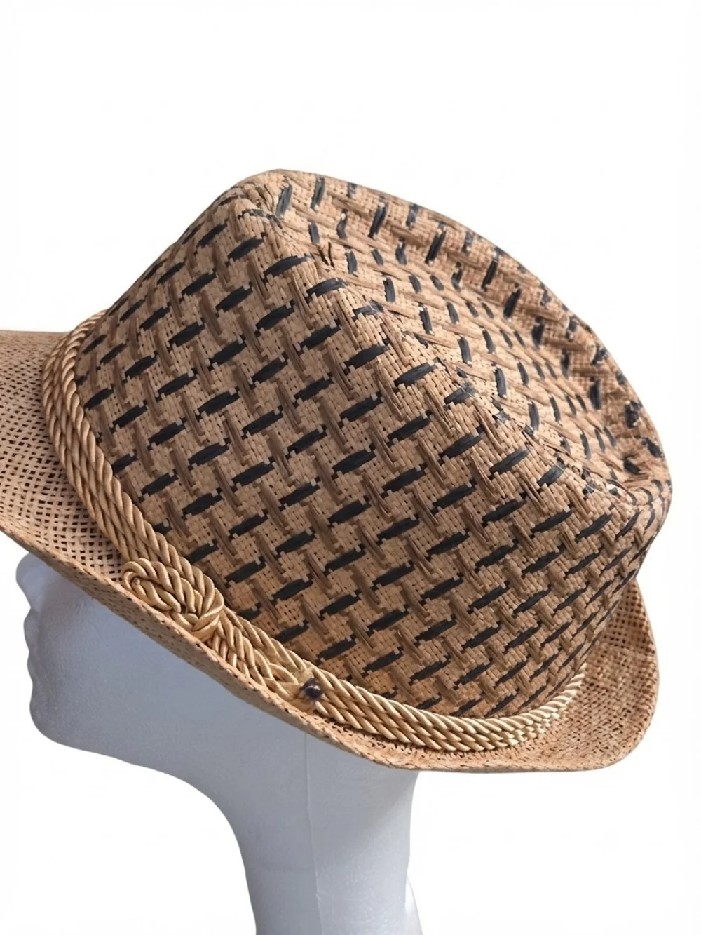 Woven Straw Fedora Hat in Natural Brown with Braided Band